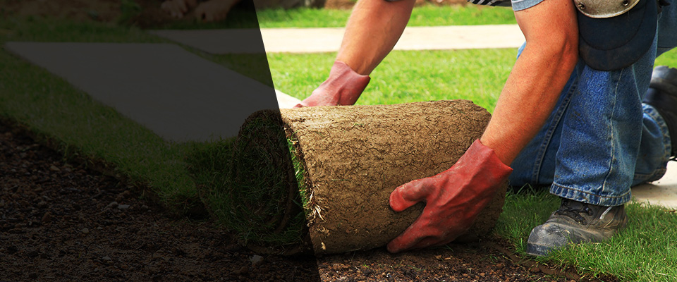 Clyde Landscapers